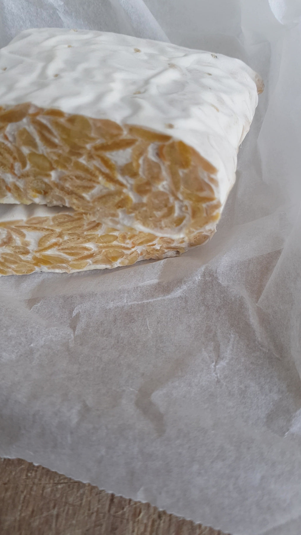 Frozen Tempeh 1kg Block (Wholesale)