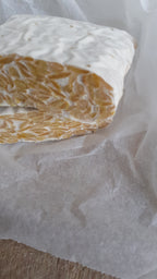 Frozen Tempeh 1kg Block (Wholesale)