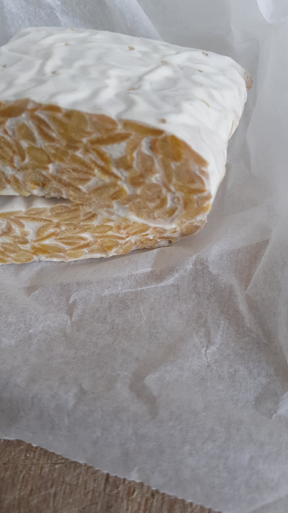 Frozen Tempeh 1kg Block (Wholesale)