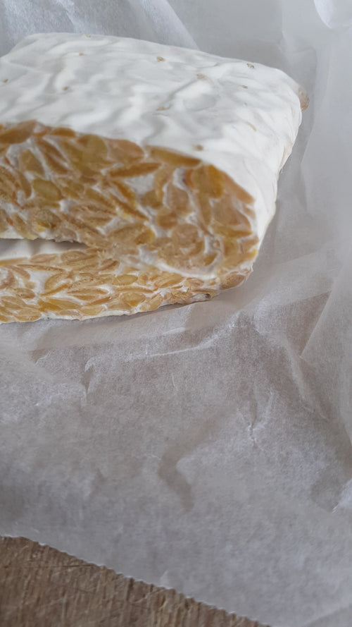 Frozen Tempeh 1kg Block (Wholesale)